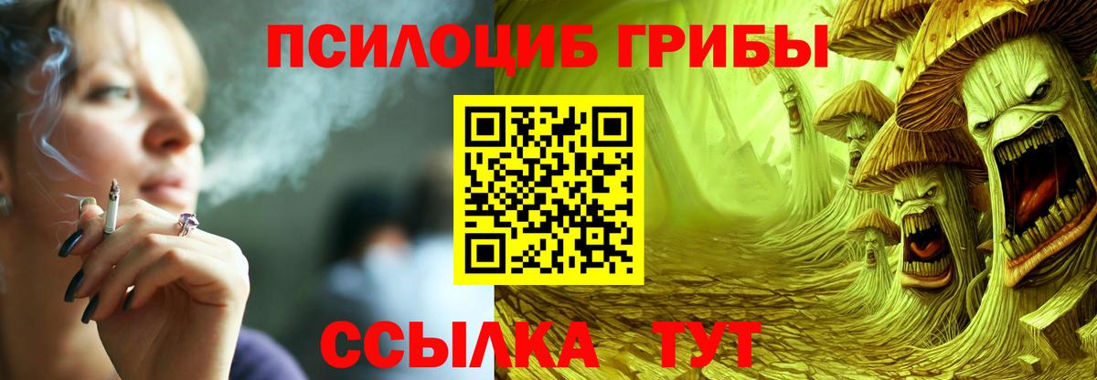 Псилоцибиновые грибы прущие грибы Аша