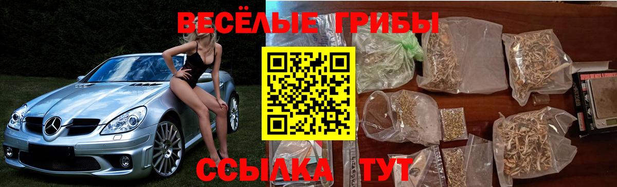 Галлюциногенные грибы мицелий  Галлюциногенные грибы GOLDEN TEACHER  Вход с VPN  Аша 